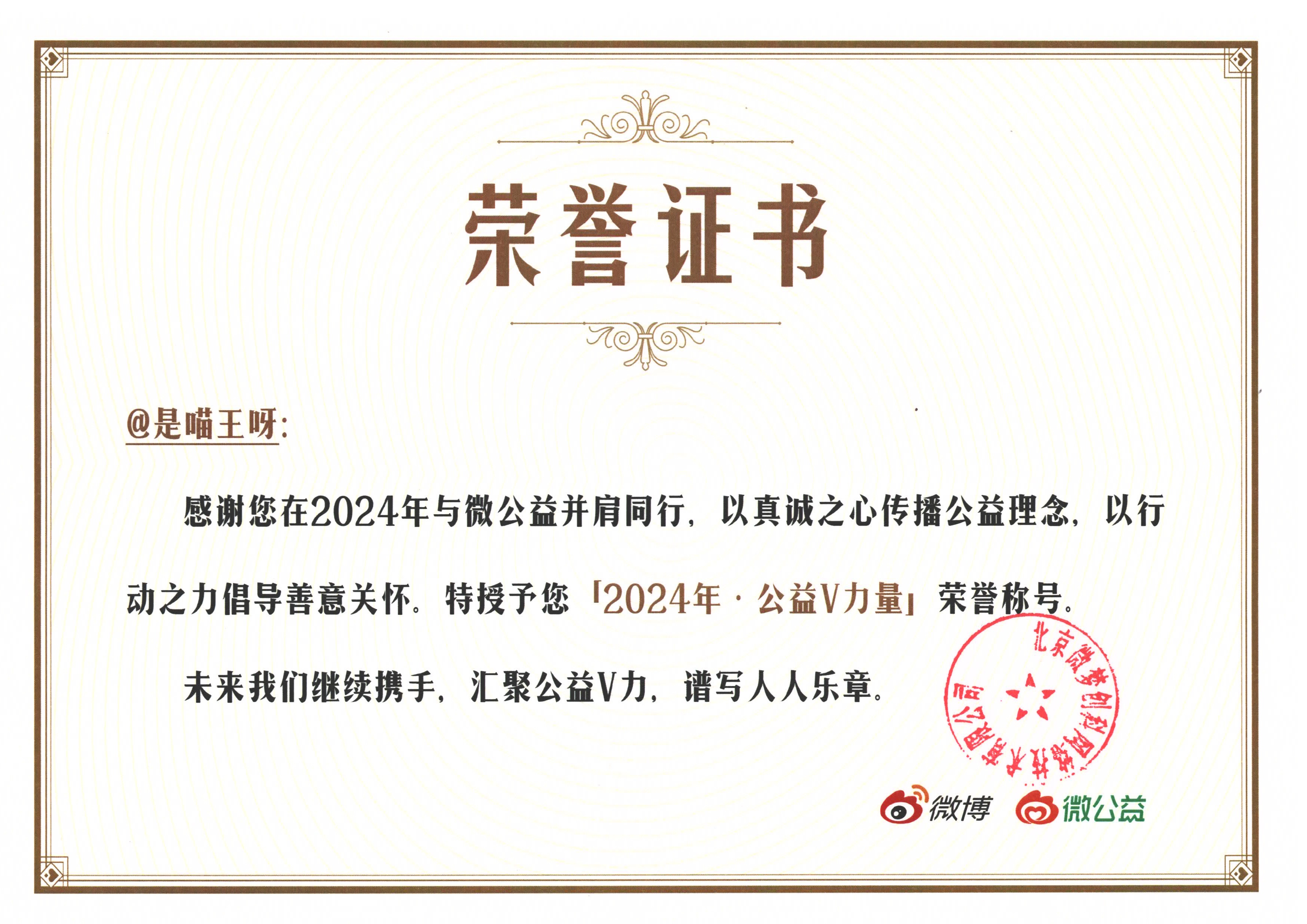2024年公益V力量荣誉证书